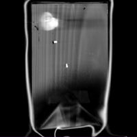 Figure 9: Coronal image 6, bottom slice, second panel with seal