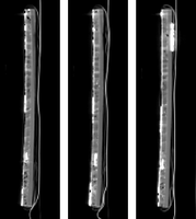 Figure 10: 3 Sagittal images each showing one nail, in the original wood.